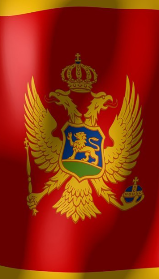 Montenegro AML Global Consulting
